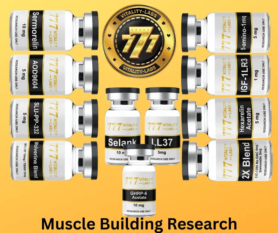 Muscle Building Research